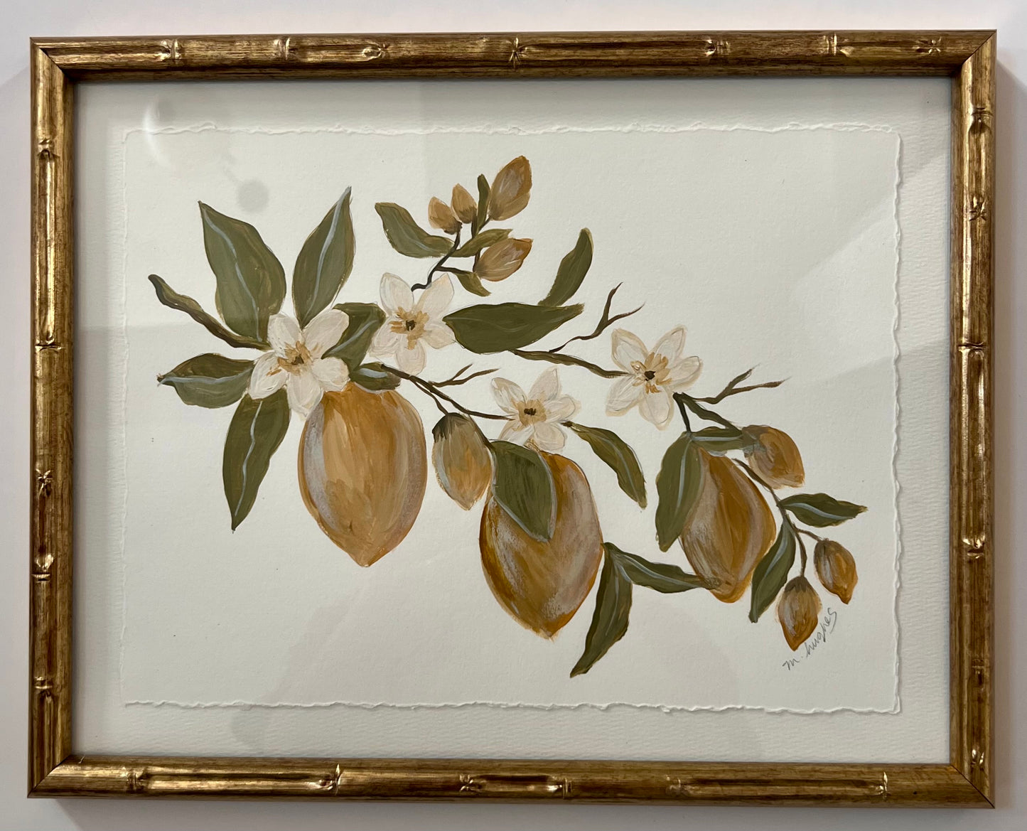 Lemon Tree Study