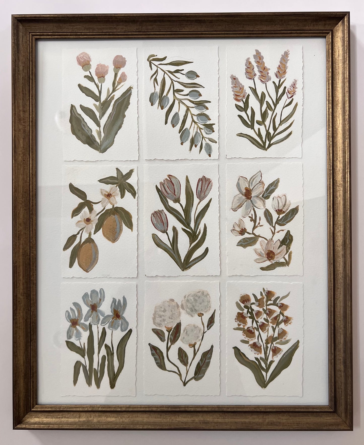 Botanical Study Collection