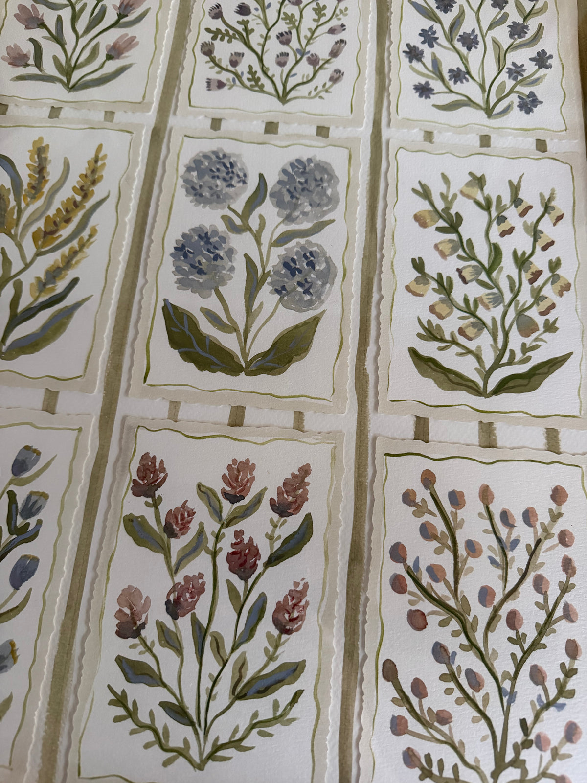 Collected Botanicals in Watercolor