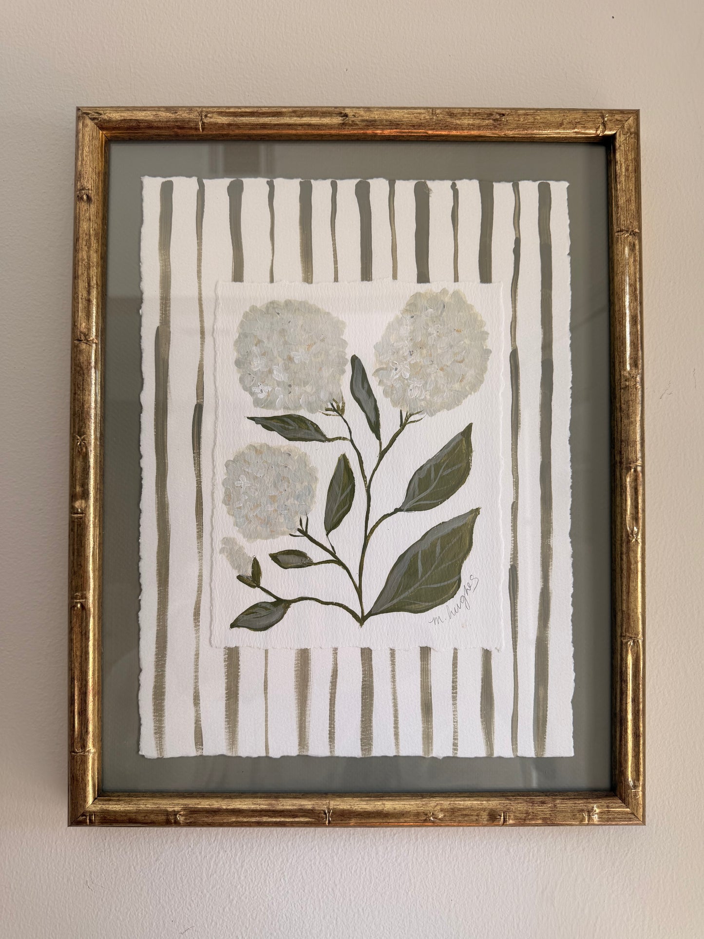 Sage Striped Hydrangeas