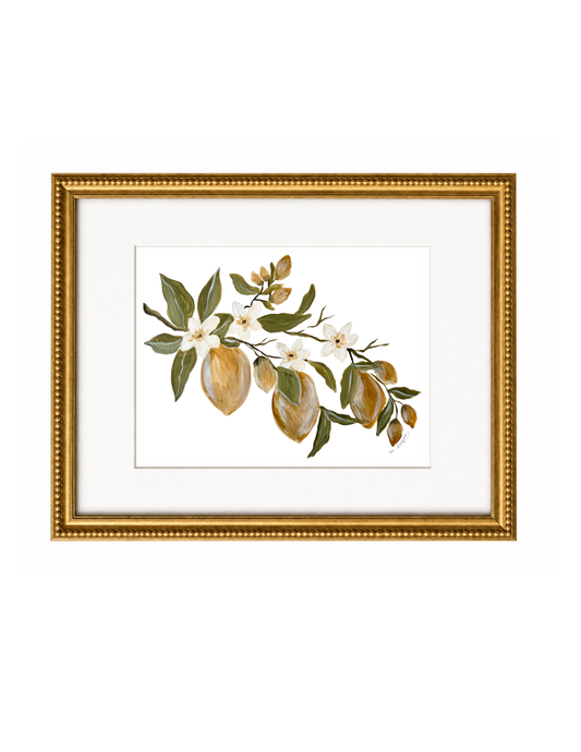 Lemon Botanical Study