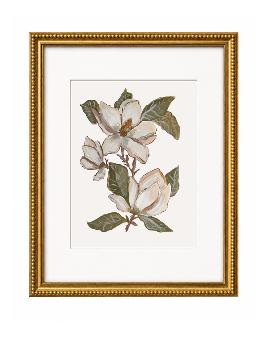Magnolia Botanical Study