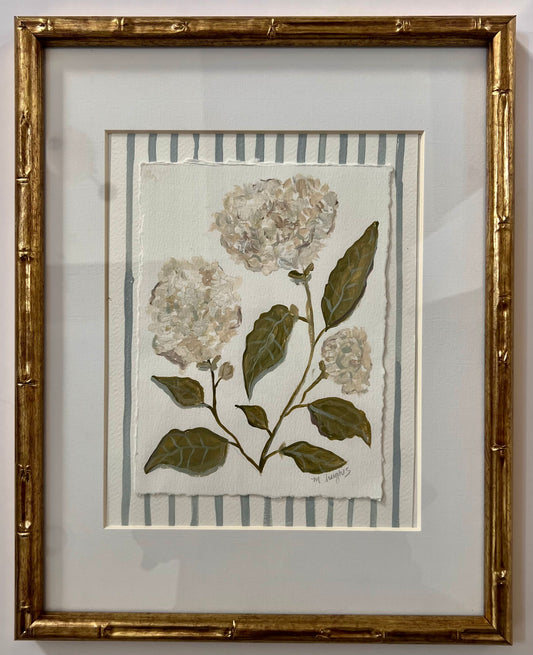 Hydrangea Study with Stripes