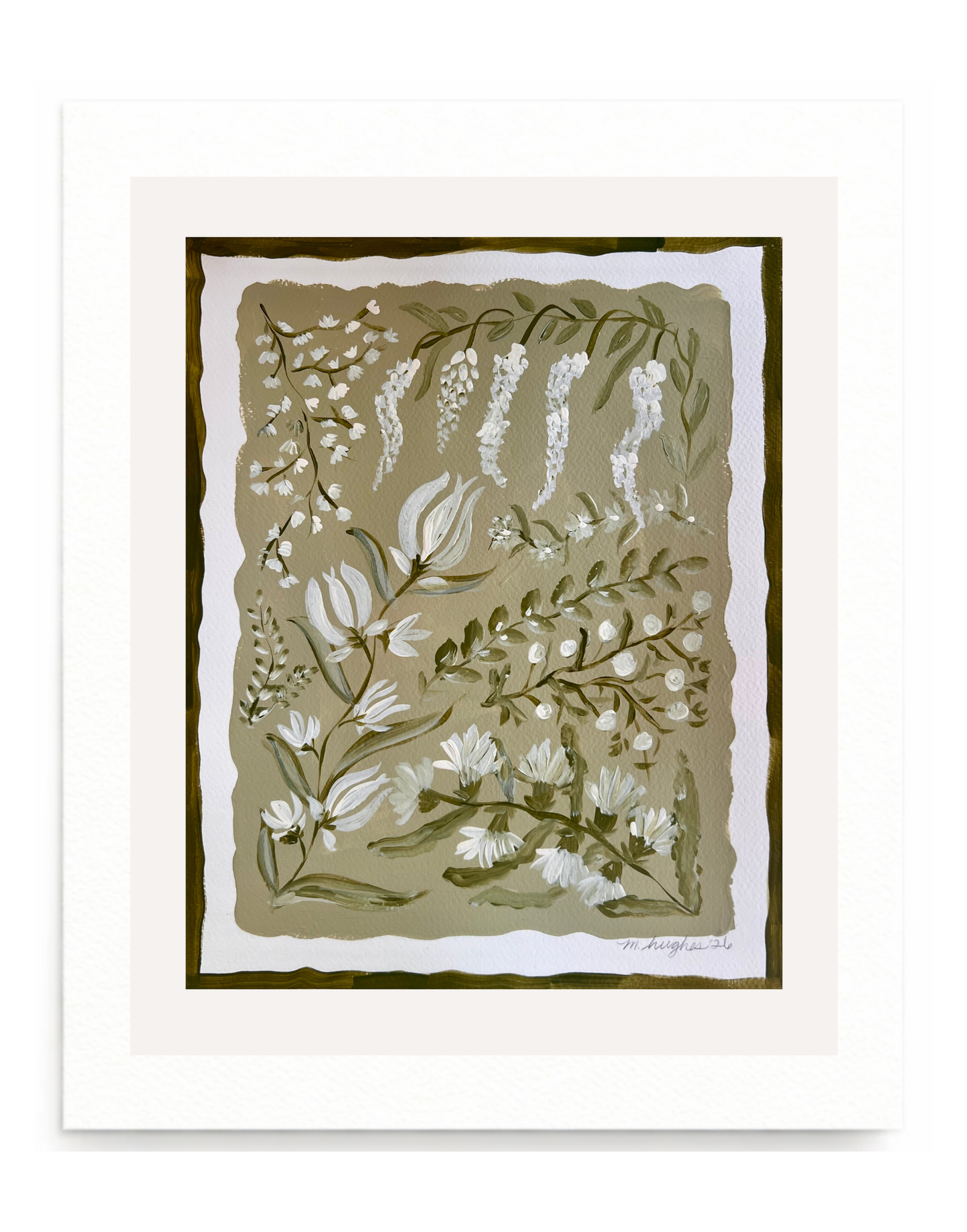 Olive Botanical Study